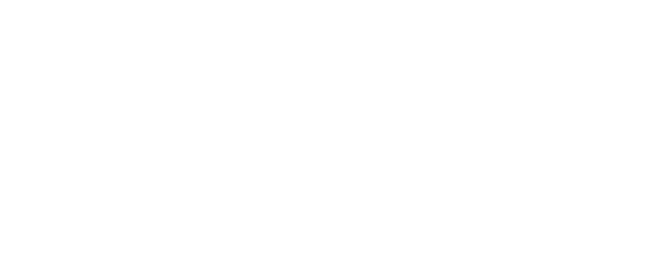 BeyondNets